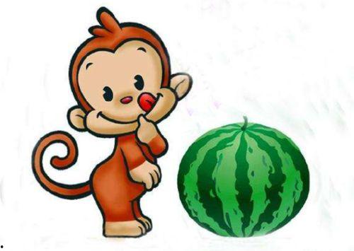 娱乐圈吃瓜动画片叫什么